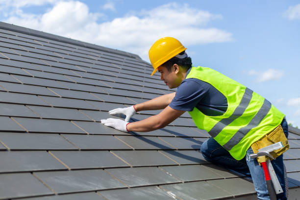 Best Roof Gutter Cleaning  in Dumbarton, VA