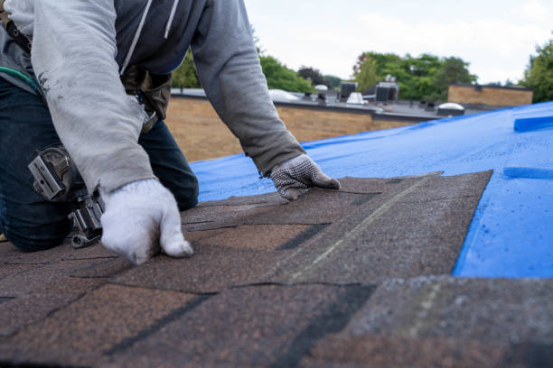 Best Shingle Roofing Installation  in Dumbarton, VA